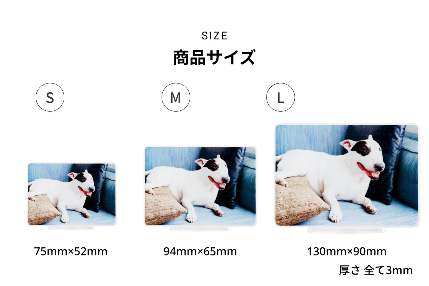 フォトスタンド - Image 4