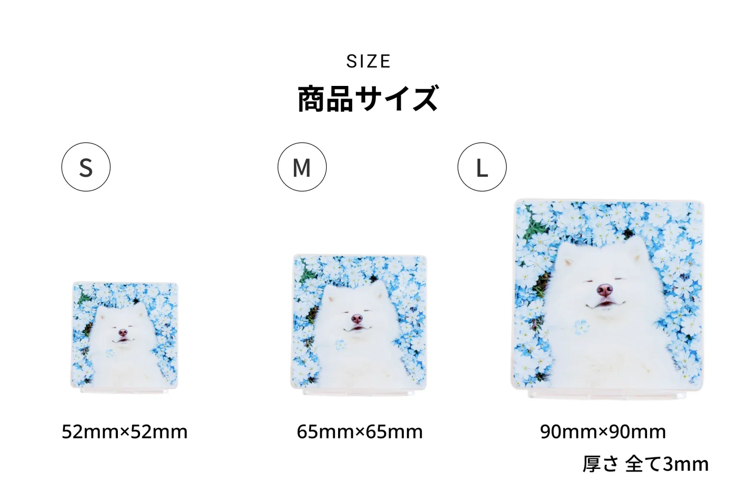 フォトスタンド - Image 7